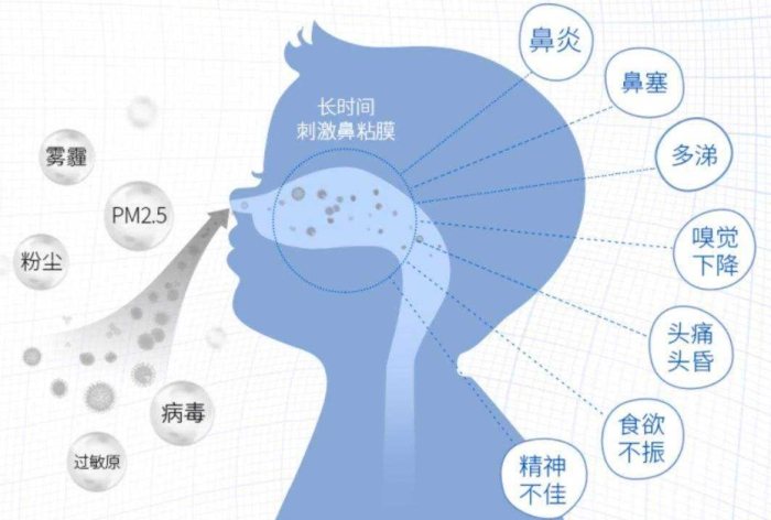 過敏性鼻炎原因 過敏性鼻炎原因