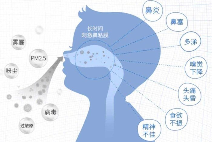 過敏性鼻炎原因