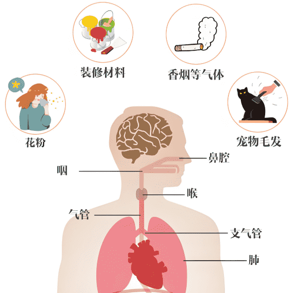 過敏咳嗽吃什麼 過敏咳嗽吃什麼