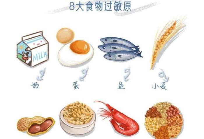 食物過敏皮膚癢怎麼辦 食物過敏皮膚癢怎麼辦